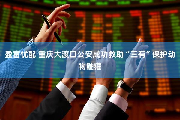 盈富忧配 重庆大渡口公安成功救助“三有”保护动物鼬獾