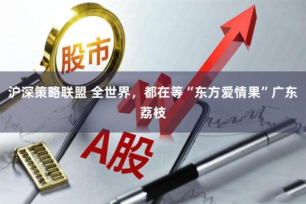 沪深策略联盟 全世界，都在等“东方爱情果”广东荔枝