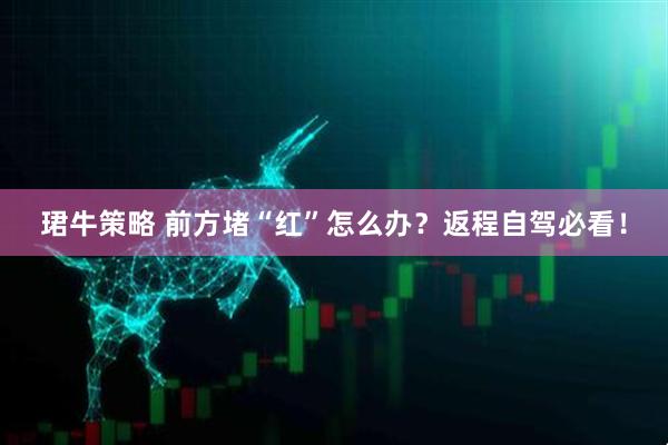 珺牛策略 前方堵“红”怎么办？返程自驾必看！