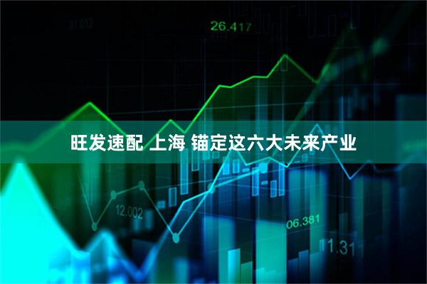 旺发速配 上海 锚定这六大未来产业