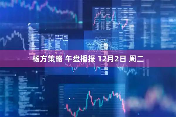 杨方策略 午盘播报 12月2日 周二