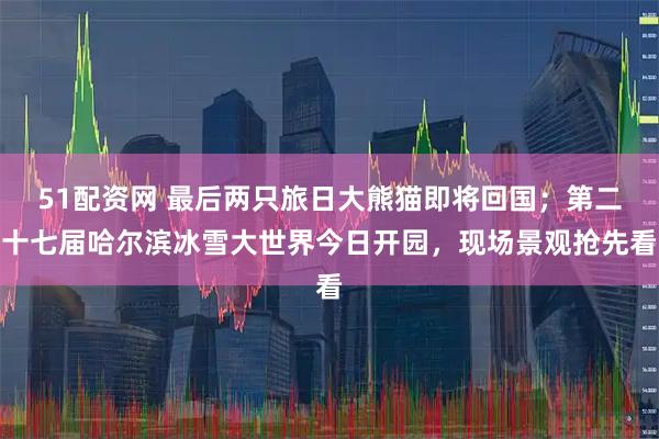 51配资网 最后两只旅日大熊猫即将回国；第二十七届哈尔滨冰雪大世界今日开园，现场景观抢先看
