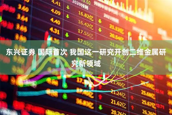 东兴证券 国际首次 我国这一研究开创二维金属研究新领域