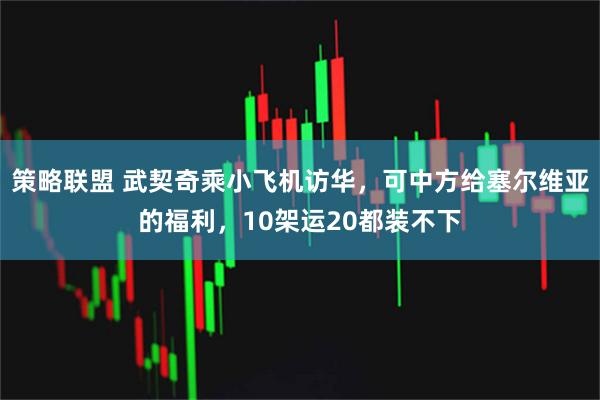 策略联盟 武契奇乘小飞机访华，可中方给塞尔维亚的福利，10架运20都装不下